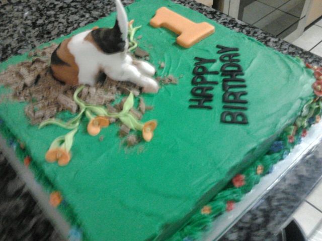 img-20161222-wa0010_1483613190140