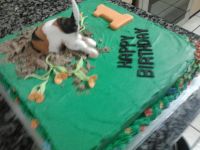 img-20161222-wa0010_1483613190140