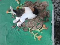 img-20161222-wa0011_1483613189475